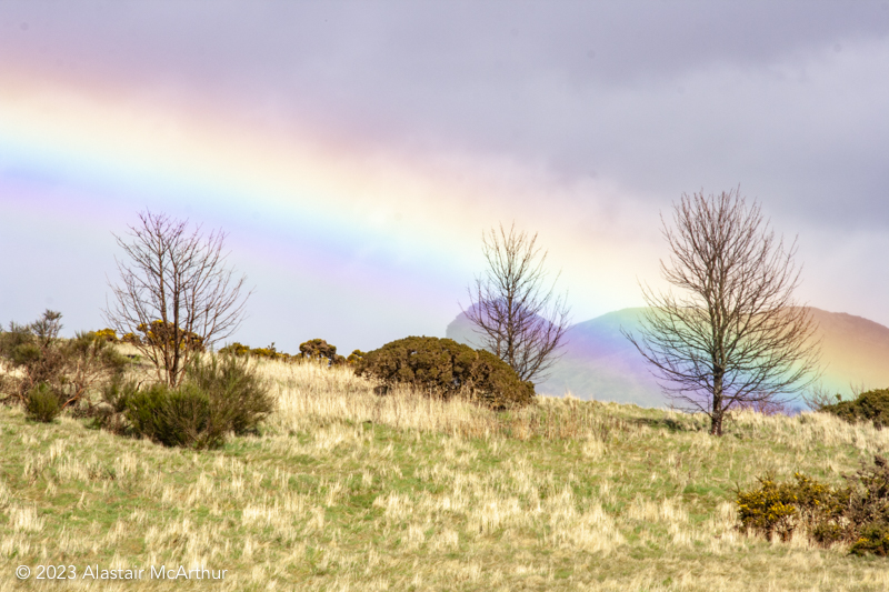 Rainbow. Blackford Hill, Edinburgh 2020.