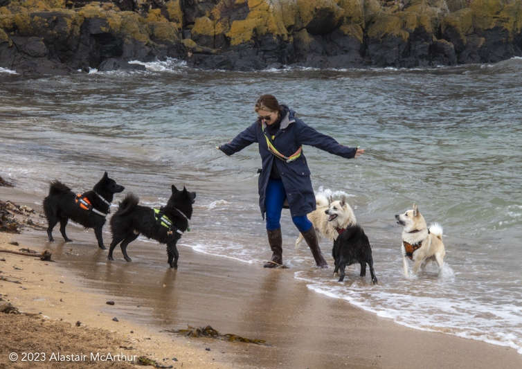 Dog Walker. North Berwick 2022.