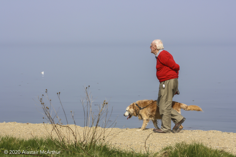 Walking the dog. Brodick, Arran 2011.