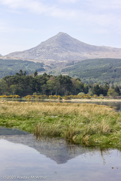 Goatfell. Brodick, Arran 2011.