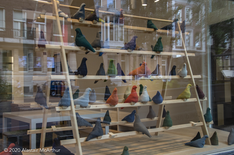 Birds in a window. Amsterdam 2019.